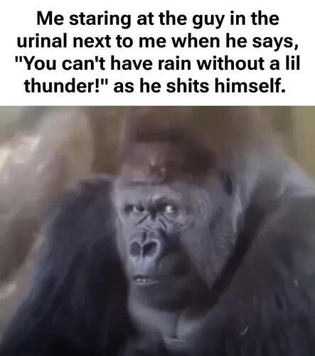 lkafytjj7swg1