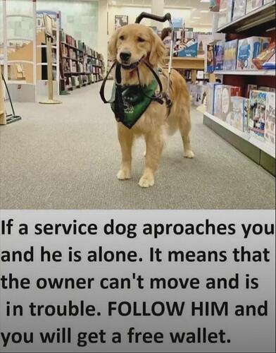 Life pro tip